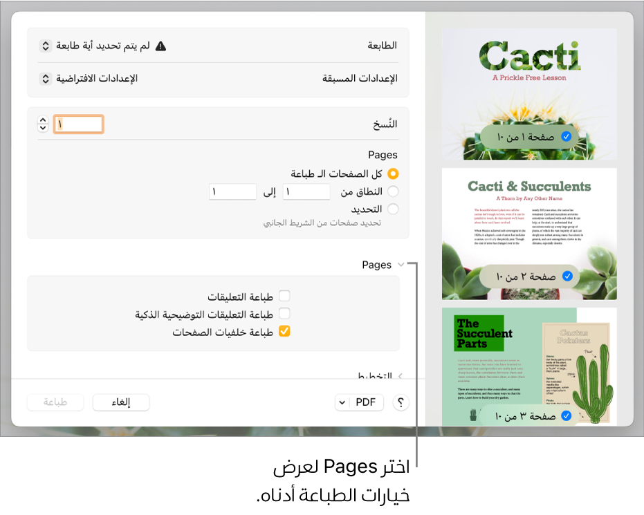 مربع الحوار طباعة مع عناصر التحكم في الطابعة والإعدادات المسبقة والنُسخ ونطاق الصفحات. تطبيق Pages محدد في النافذة المنبثقة أسفل إعدادات نطاق الصفحات، يتبع ذلك خانات اختيار لطباعة التعليقات وطباعة التعليقات التوضيحية الذكية وطباعة خلفيات الصفحات.