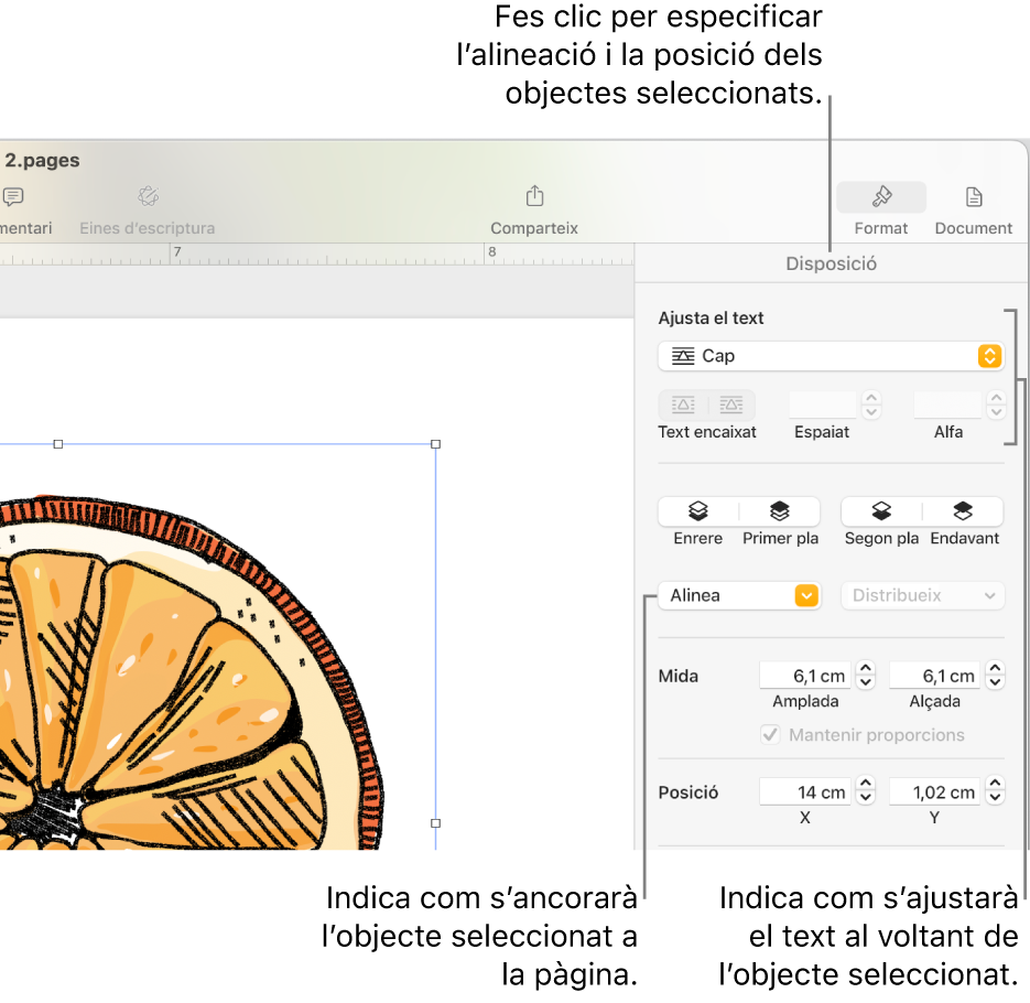 El menú Format, en què es mostra la barra lateral Disposició. Les opcions de “Posició de l’objecte” es mostren a la part superior de la barra lateral “Disposició”, amb les opcions d’“Ajusta el text” a sota.