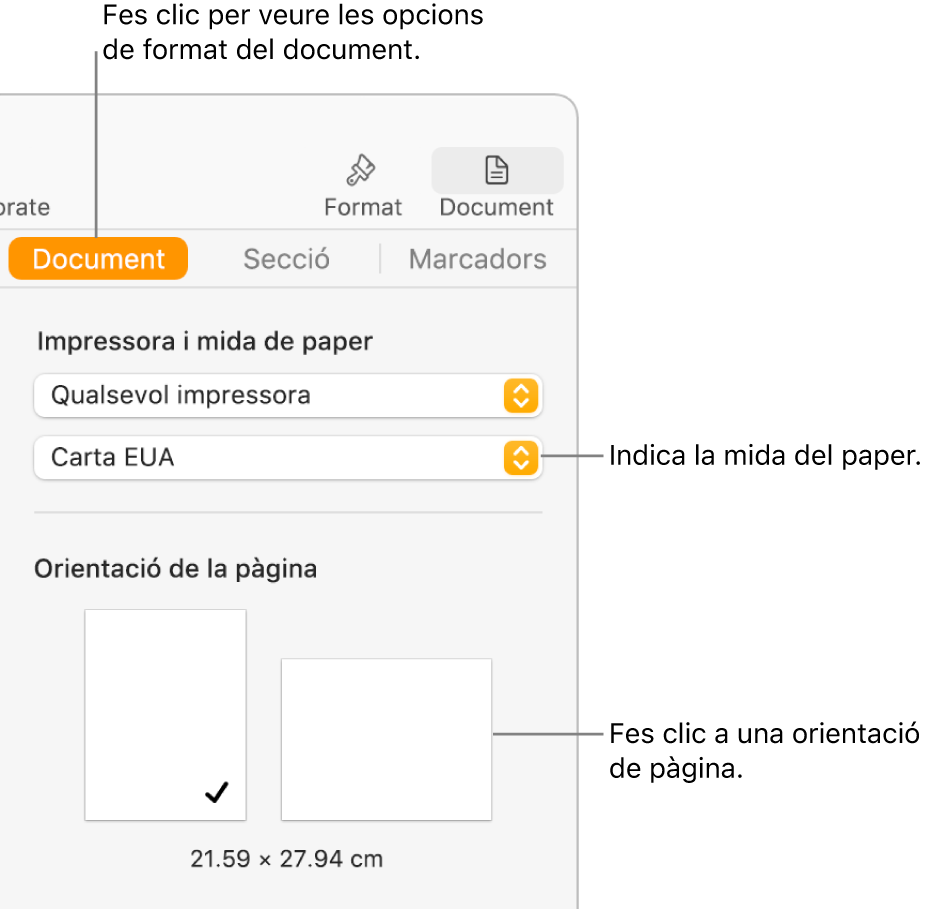 La barra lateral Document amb la pestanya Document a la part superior de la barra lateral seleccionada. A la barra lateral hi ha un menú desplegable per definir la mida del paper i botons per a l’orientació horitzontal i vertical de la pàgina.