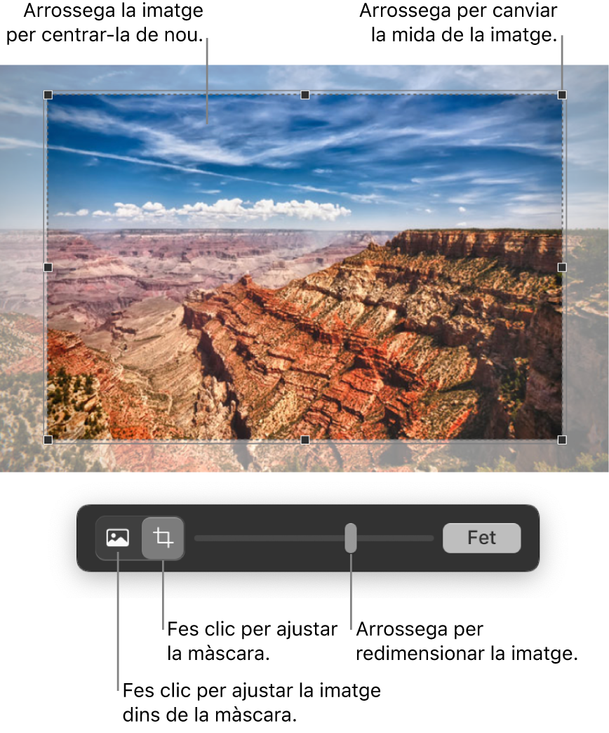 Control de màscara sobre una foto.