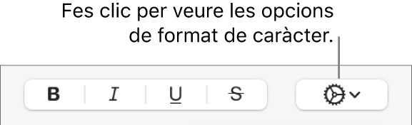 Menú desplegable “Més opcions de text” a la dreta dels botons Negreta, Cursiva, Subratllat i Ratllat.