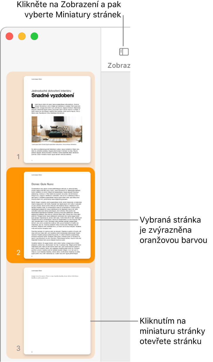 Boční panel na levé straně okna aplikace Pages s otevřeným zobrazením miniatur stránek a vybranou stránkou, která je zvýrazněna tmavooranžově