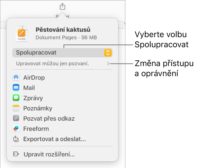 Nabídka sdílení, v níž je nahoře vidět vybraná volba Spolupracovat a pod ní volby pro nastavení přístupu a oprávnění