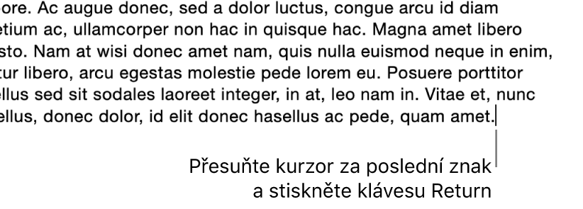 Kurzor umístěný za tečkou v poslední větě odstavce