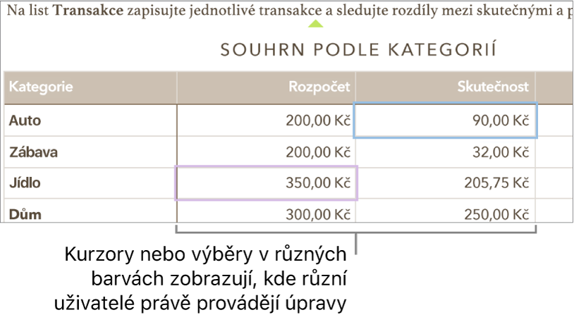 Kurzory a výběry v odlišných barvách ukazují, kde různé osoby provádějí úpravy