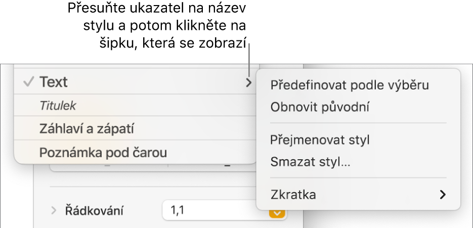 Nabídka Styly odstavců s otevřenou nabídkou zkratek.