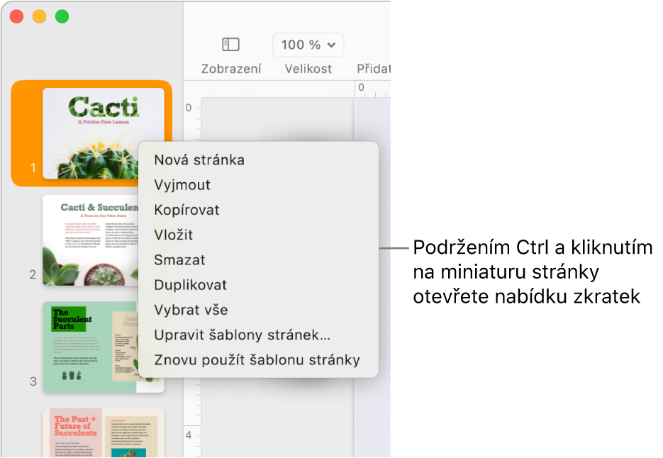 Panel s miniaturami stránek s jednou vybranou miniaturou a s otevřenou místní nabídkou