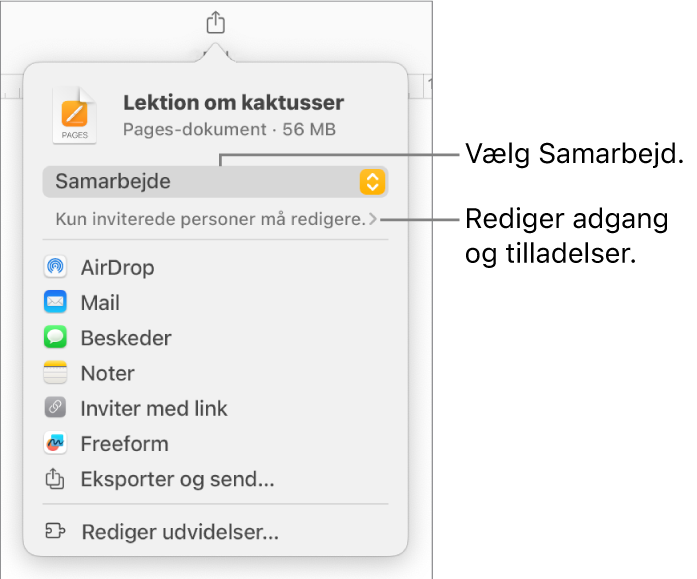 Menuen Del med Samarbejde valgt øverst og adgangs- samt tilladelsesindstillinger nedenunder.