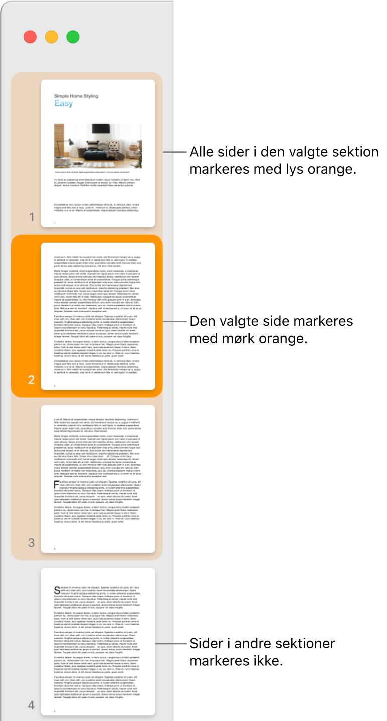 Miniatureoversigten med den valgte side fremhævet med mørk orange og alle siderne i den valgte sektion fremhævet med lys orange.