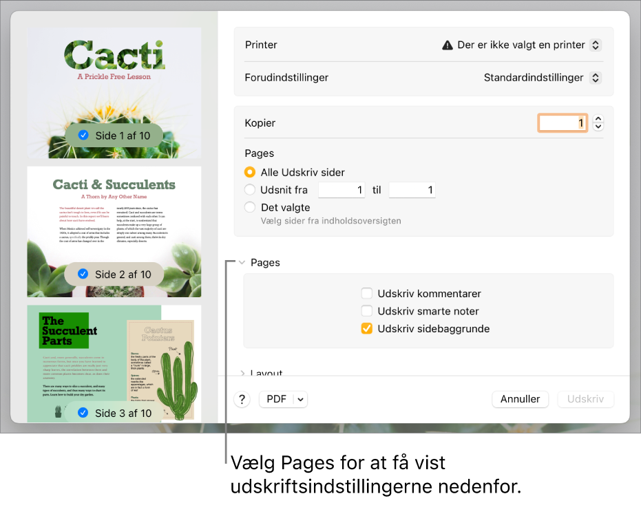 Dialogen Udskriv med betjeningsmuligheder til printer, forindstillinger, kopier og sideudsnit. Pages er valgt på lokalmenuen under indstillingerne til sideudsnit efterfulgt af afkrydsningsfelter til udskrivning af kommentarer, udskrivning af smarte noter og udskrivning af sidebaggrund.