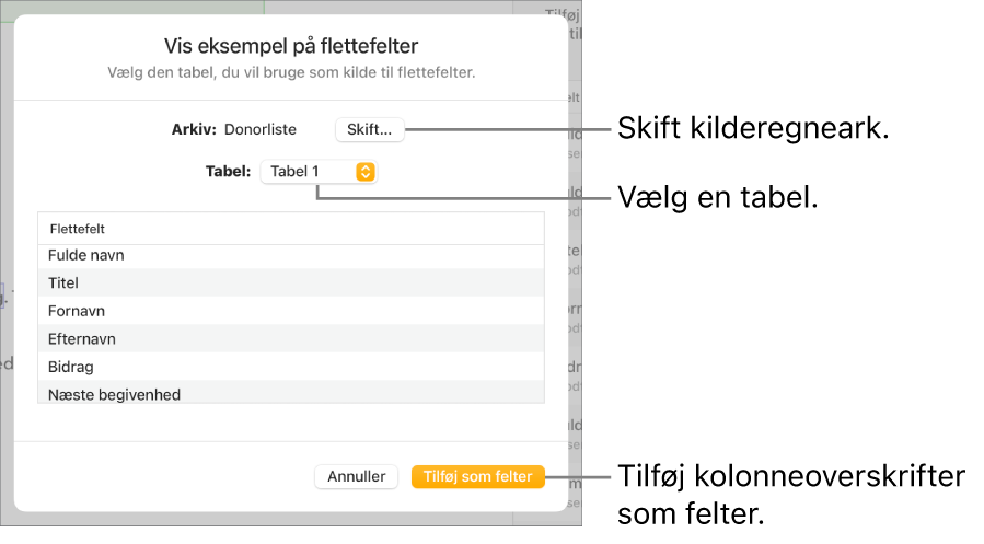 Vinduet Vis eksempel på flettefelter er åbent. Her findes der muligheder for at skifte kildearkiv eller kildetabel, se eksempler på flettefelters navne eller tilføje kolonneoverskifter som felter.