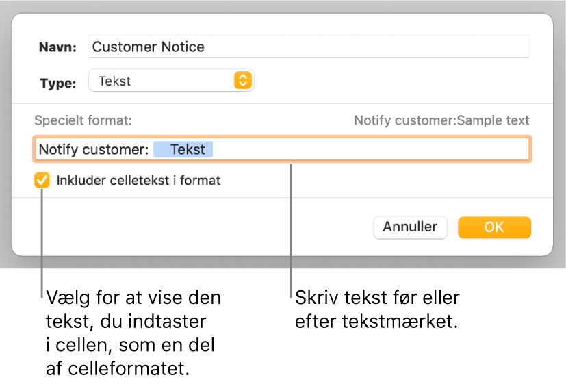 Vinduet til specielle celleformater med betjeningsmuligheder til valg af speciel formatering af tekst.