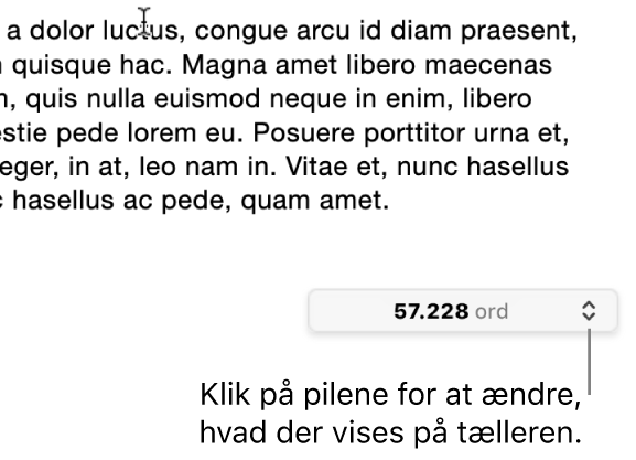 Menuen Antal ord med antallet af ord i dokumentet.