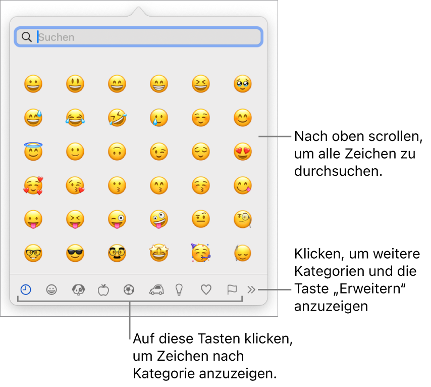 Die Zeichenübersicht zeigt Emojis, Tasten für die unterschiedlichen Symbolkategorien am unteren Fensterrand, eine Taste, mit der mehr Kategorien angezeigt werden können, und die Taste „Erweitern“.