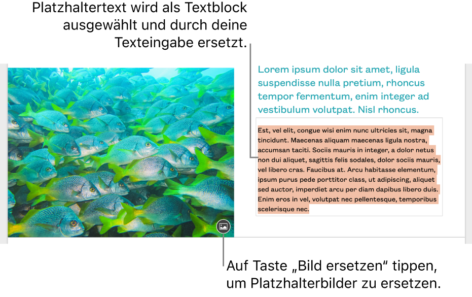 Platzhaltertext und Platzhalterbilder