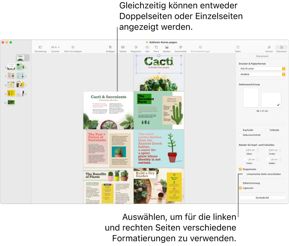 Das Pages-Fenster mit Seitenminiaturen und Dokumentseiten, die als Doppelseiten angeordnet sind. In der Seitenleiste „Dokument“ rechts ist das Feld „Linke u. rechte Seiten unterschiedlich“ nicht markiert.