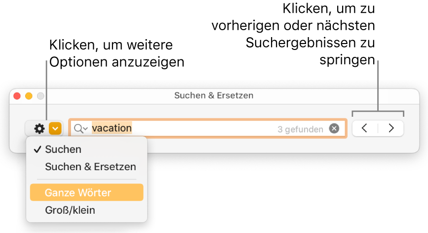 Das Fenster „Suchen & Ersetzen“ mit dem Einblendmenü, in dem Optionen zum Suchen, Suchen und Ersetzen, Suchen ganzer Wörter und Suchen unter Berücksichtigung der Groß-/Kleinschreibung zu sehen sind. Mit den Pfeilen auf der rechten Seite kann zu den vorherigen bzw. nächsten Suchergebnissen gesprungen werden.