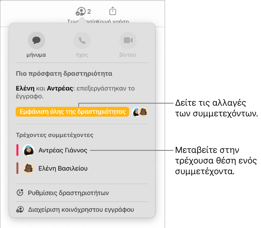Το μενού συνεργασίας με δύο τρέχοντες συμμετέχοντες.