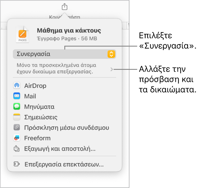 Το μενού «Κοινή χρήση» με επιλεγμένη τη «Συνεργασία» στο πάνω μέρος, και ρυθμίσεις πρόσβασης και δικαιωμάτων από κάτω.