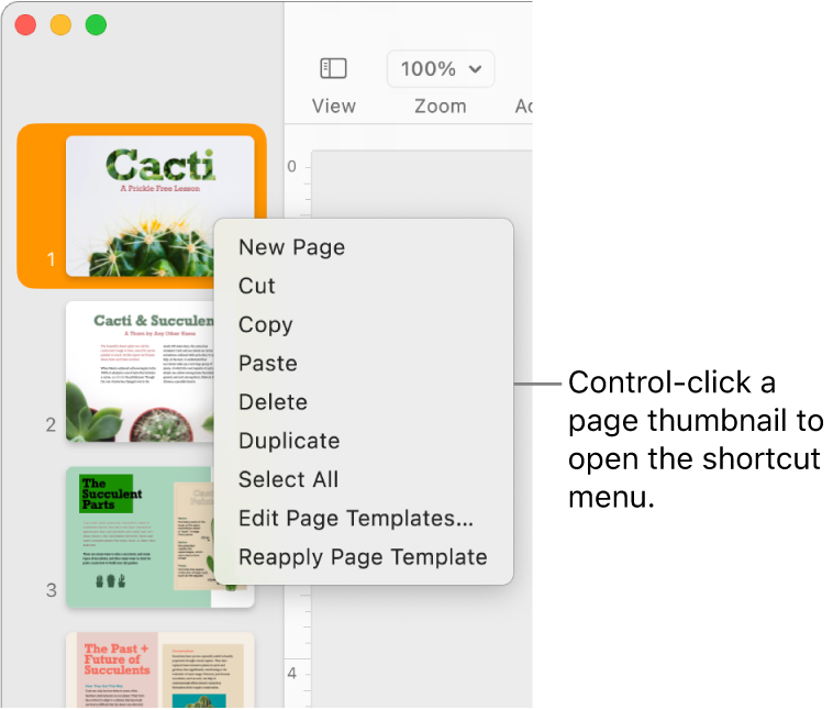 Page Thumbnails view with one thumbnail selected and the shortcut menu open.