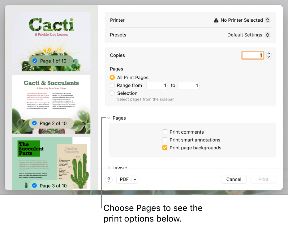 Print dialogue with controls for printer, presets, copies and page range. Pages is selected in the pop-up menu below the settings for page range, followed by tickboxes to print comments, print smart annotations and print page backgrounds.