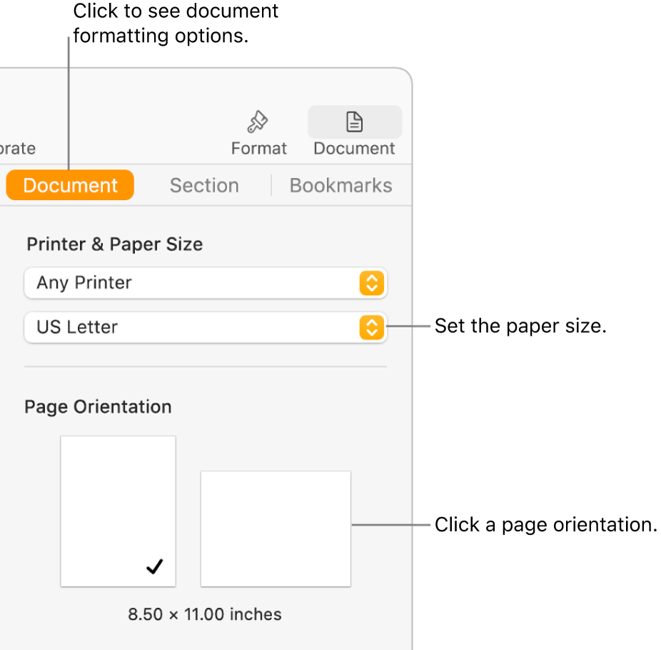 The Document sidebar with the Document tab at the top of the sidebar selected. In the sidebar are a pop-up menu to set paper size, and buttons for portrait and landscape page orientation.