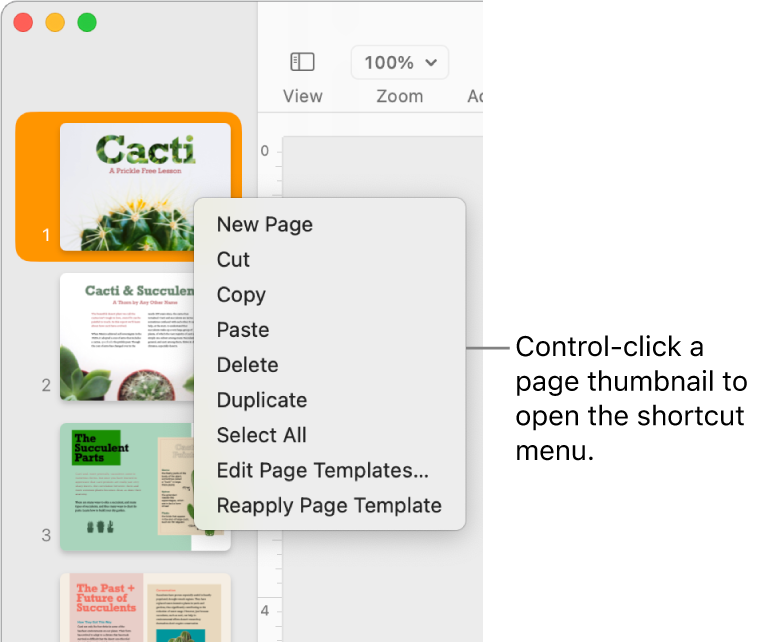 Page Thumbnails view with one thumbnail selected and the shortcut menu open.