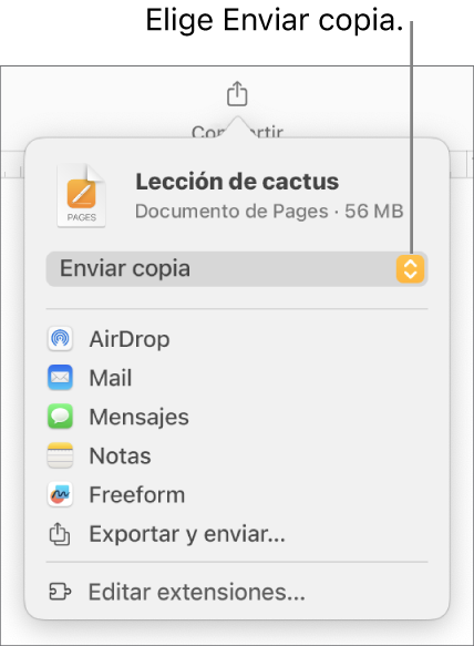 El menú Compartir con la opción Enviar copia seleccionada en la parte superior.