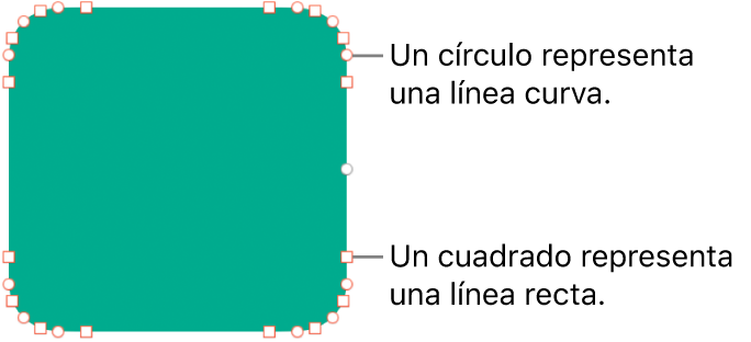 Una figura con puntos editables.