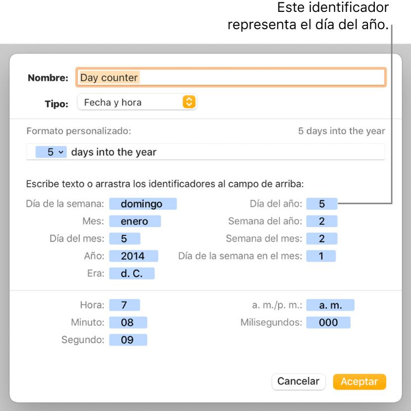 La ventana de formato de celda personalizado con controles para seleccionar formatos de fecha y hora personalizados.