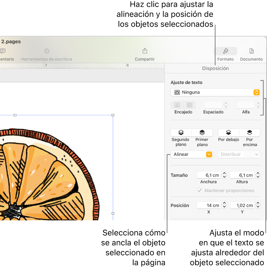 El menú Formato con la barra lateral Disposición. En la parte superior de la barra lateral Disposición se encuentran los ajustes de “Colocación del objeto”, y debajo están los ajustes de “Ajuste de texto”.