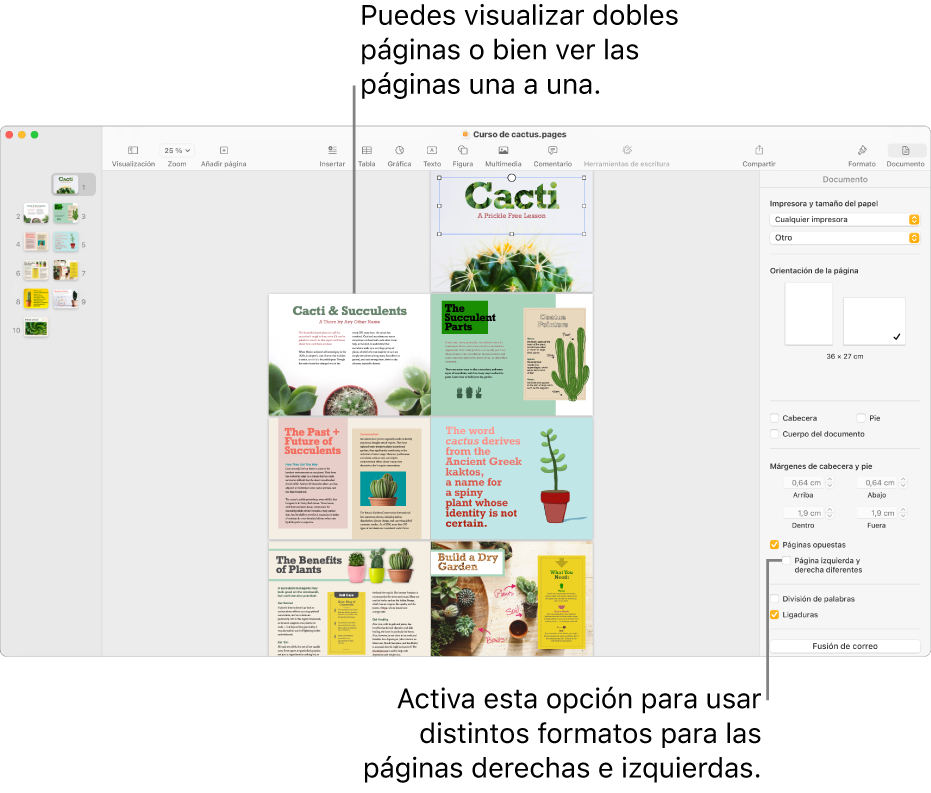 La ventana de Pages con miniaturas de página y páginas de documento presentadas como dobles páginas. En la barra lateral Documento de la derecha, está sin activar la casilla “Páginas izquierda y derecha diferentes”.