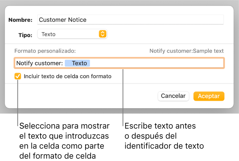 La ventana de formato de celda personalizado con controles para seleccionar formatos de texto personalizados.