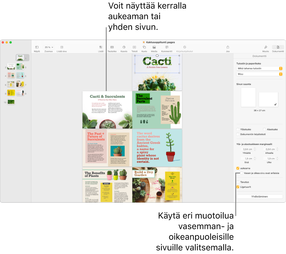 Pages-ikkuna, jossa näkyy sivujen miniatyyrit ja dokumentin sivut aukeamina. Dokumentti-sivupalkissa oikealla Vasen ja oikea sivu ovat erilaisia -valintaneliötä ei ole valittu.