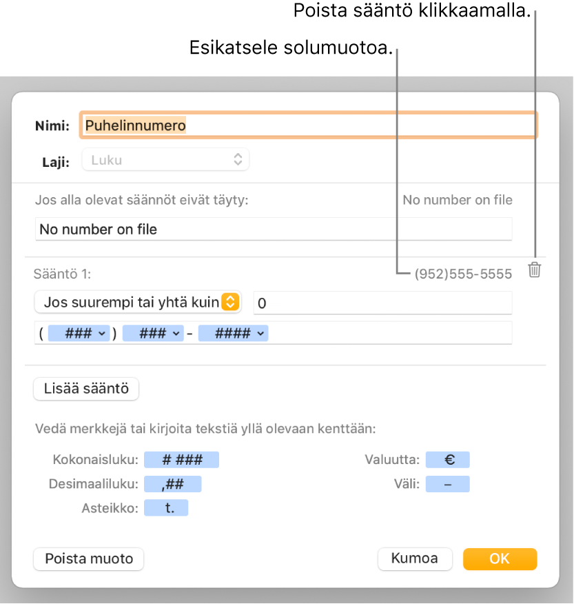 Muokatun solumuodon ikkuna, jossa on säätimiä muokattujen numeromuotojen valitsemiseen.