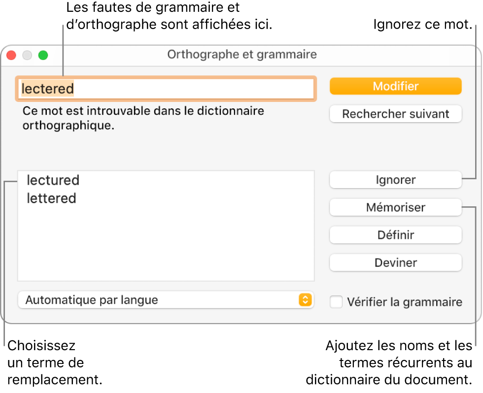 La fenêtre Orthographe et grammaire.