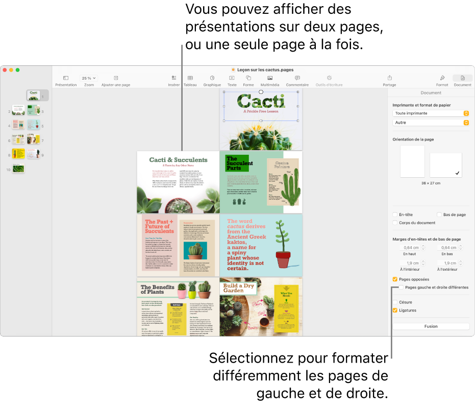 La fenêtre Pages avec les vignettes des pages et les pages du document affichées en présentation sur deux pages. Dans la barre latérale Document, à droite, la case « Pages gauche et droite différentes » n’est pas cochée.