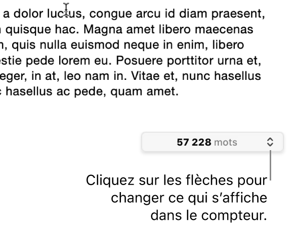 Menu indiquant le nombre de mots dans le document.