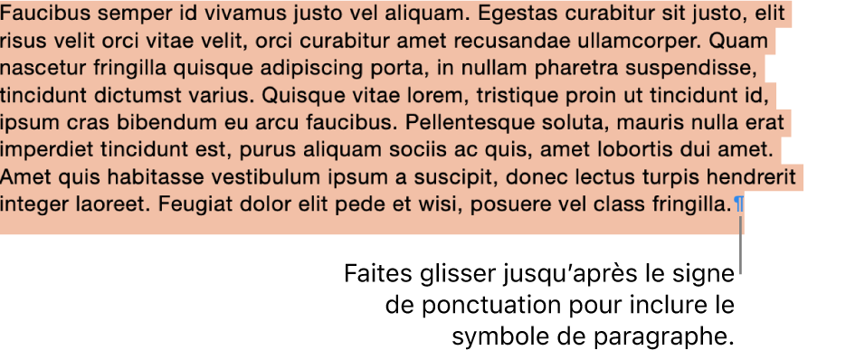 Un paragraphe sélectionné, avec le symbole du paragraphe inclus dans la sélection.