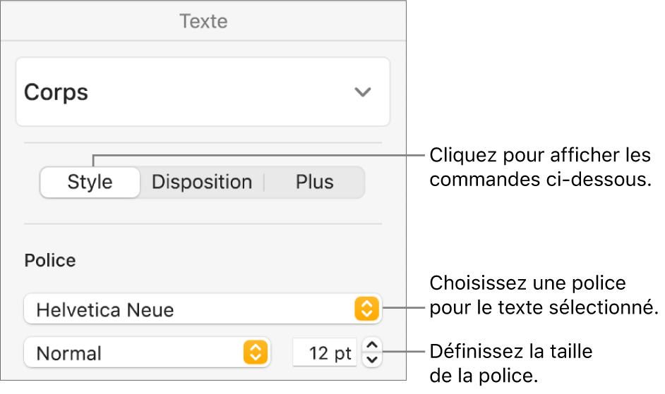 Commande de texte de la section Style de la barre latérale Format, permettant de configurer la police et la taille des caractères.