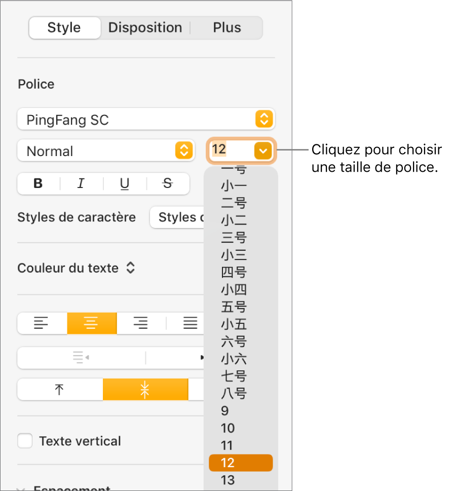 Section Style de la barre latérale Format avec le menu contextuel des tailles de police ouvert. Les tailles de police standard établies par le gouvernement de la Chine continentale apparaissent en haut du menu contextuel, et les tailles des points s’affichent en dessous.