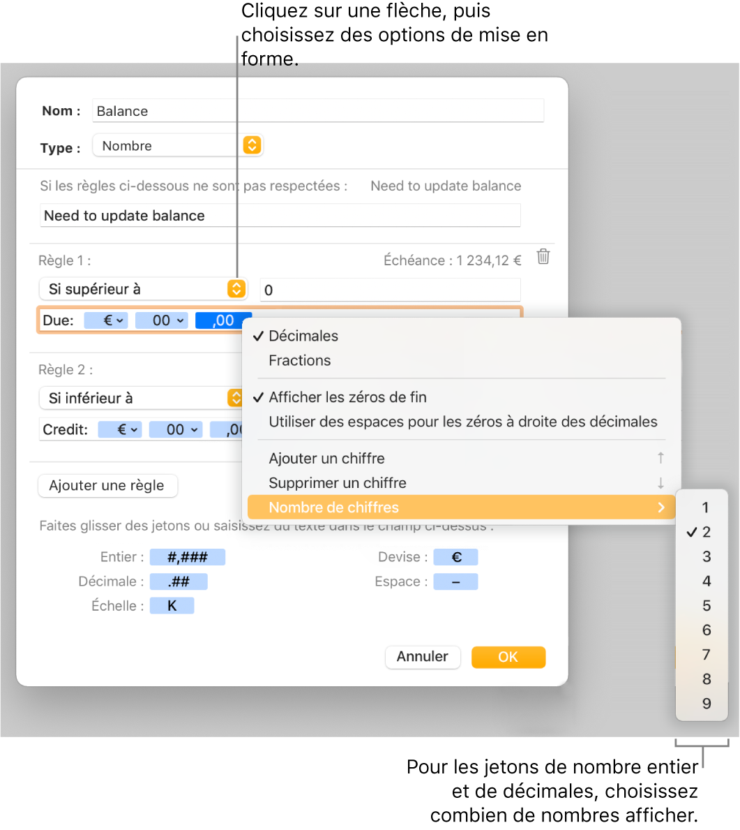 La fenêtre de format de cellule personnalisé présentant les commandes permettant de choisir des options de mise en forme personnalisée.