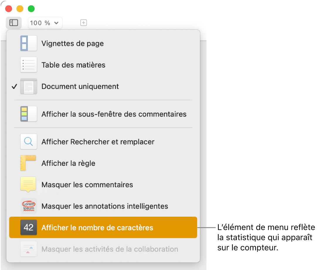 Le menu Présentation ouvert avec l’option « Afficher le nombre de caractères » vers le bas.