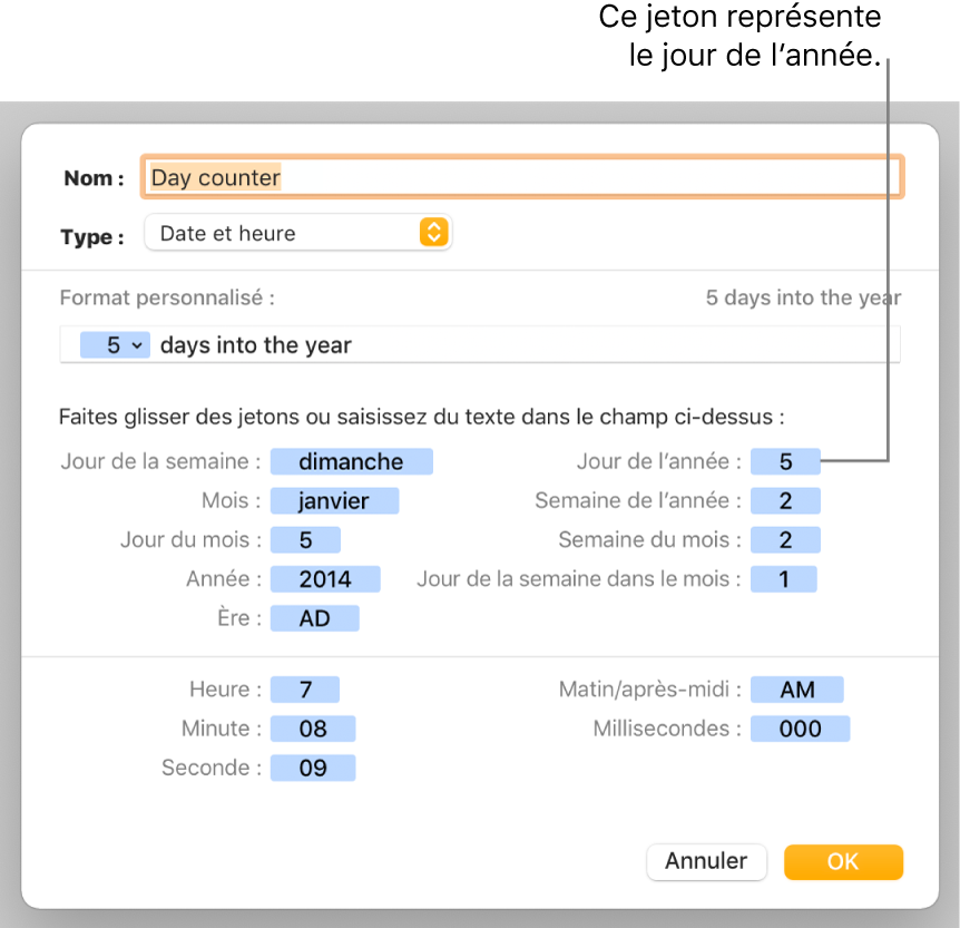 Fenêtre de format de cellule personnalisé présentant les commandes permettant de choisir un format de date et d’heure personnalisé.