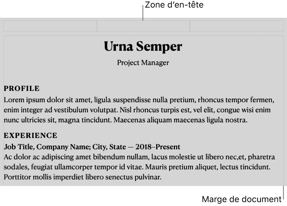 Le mode d’affichage Disposition montrant la zone d’en-tête et les marges du document.