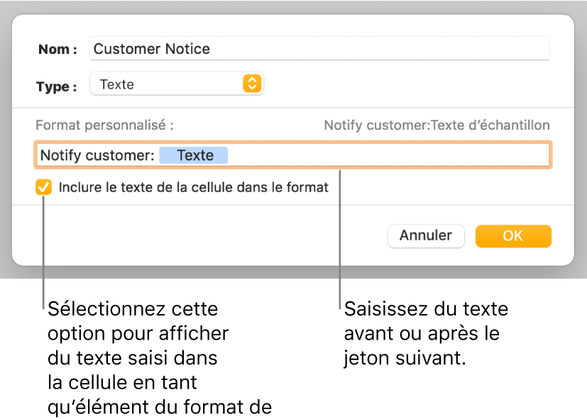 Fenêtre de format de cellule personnalisé présentant les commandes permettant de choisir un format de texte personnalisé.