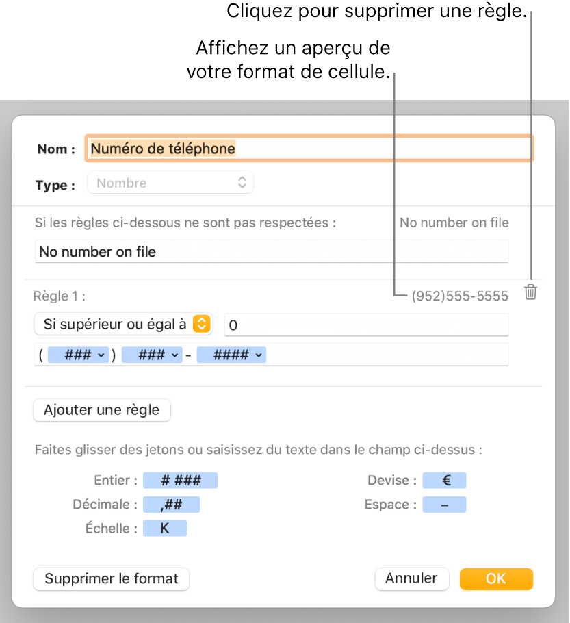 Fenêtre de format de cellule personnalisé présentant les commandes permettant de choisir un format numérique personnalisé.