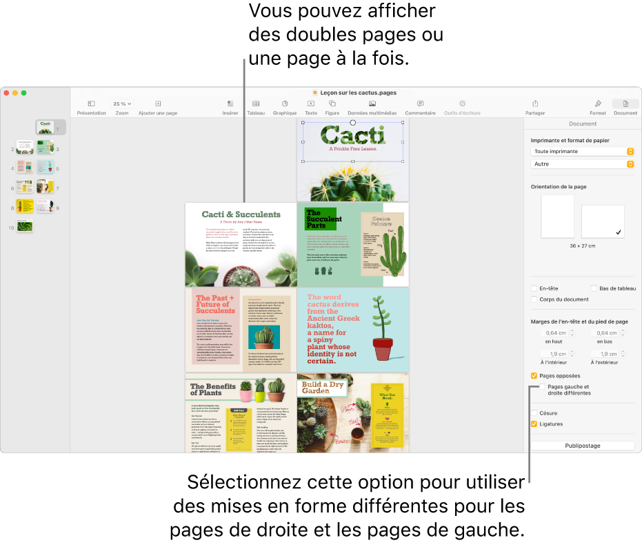 La fenêtre Pages avec les vignettes de page et les pages du document présentées sous forme de doubles pages. Dans la barre latérale Document sur la droite, la case « Pages gauche et droite différentes » est décochée.