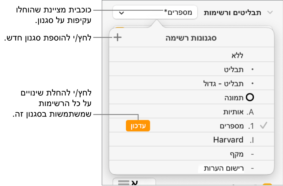 התפריט הקופצני ״סגנונות רשימה״ עם כוכבית המציינת החלפה, הסבר לכפתור ״סגנון חדש״ ותפריט משנה עם אפשרויות לניהול סגנונות.