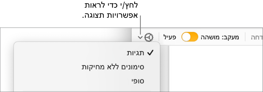 תפריט אפשרויות הסקירה מציג את הפקודות ״תגיות״, ״סימונים ללא מחיקות״ ו״סופי״.